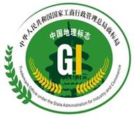 地理标志图案